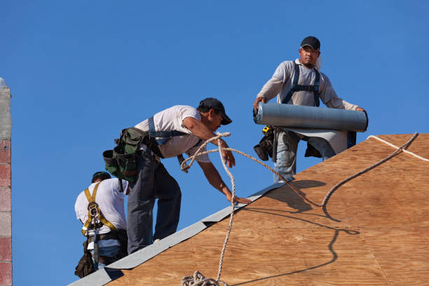 Roof Gutter Cleaning in Ellaville, GA