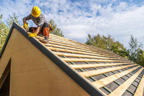 Roof Gutter Cleaning in Ellaville, GA